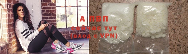 PSILOCYBIN Беломорск