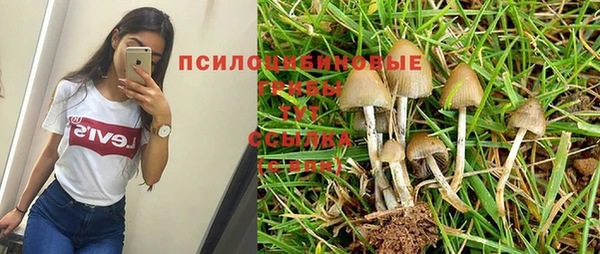 PSILOCYBIN Беломорск
