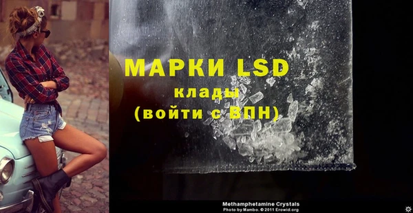 PSILOCYBIN Беломорск